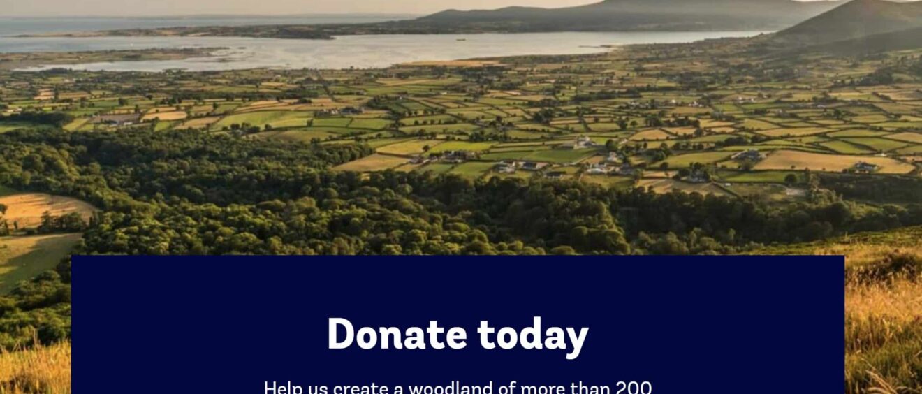 Woodland Trust | Mourne Park Appeal | SMET donates to the worthy cause 2022