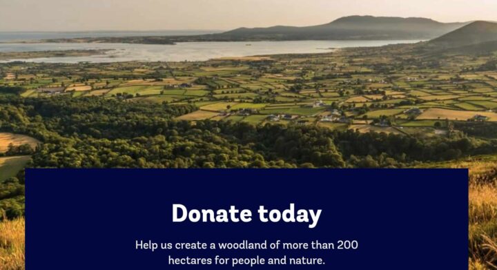 Woodland Trust | Mourne Park Appeal | SMET donates to the worthy cause 2022