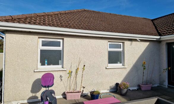 bauprotec 850M roughcast_ facade_Remark Plastering Ltd