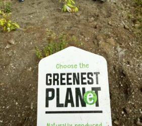 Diverse bee and butterfly friendly attracting pollinators